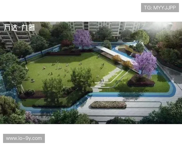 东阳免费足球场开放时间及预约方式详解 让你畅享绿色运动空间