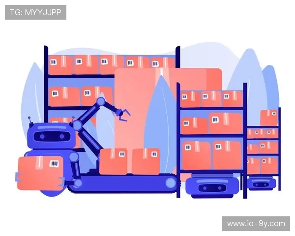 全面库存足球分类体系详解及高效仓储管理策略与实践深度探索方案